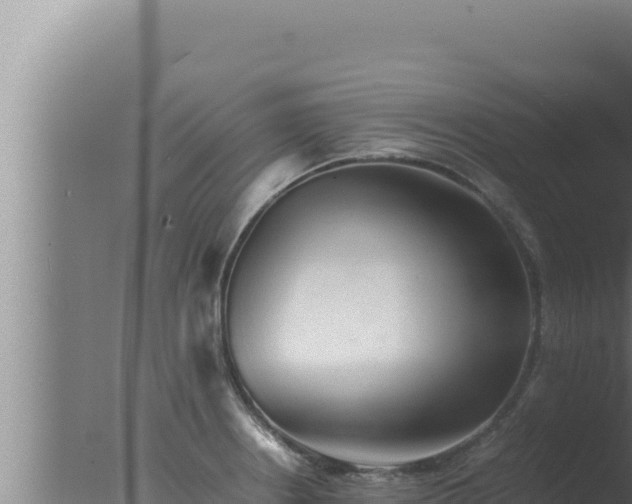 X0000077381234200610271937