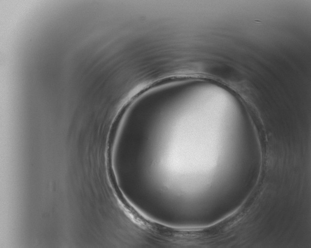 X0000077381237200610271938