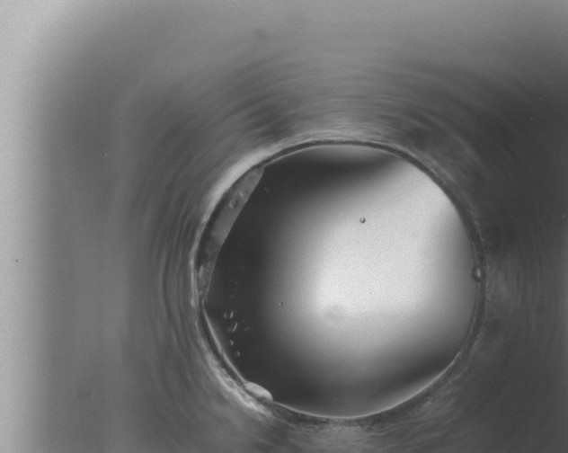 X0000077381238200610271938