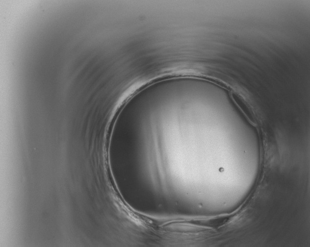 X0000077381240200610271938