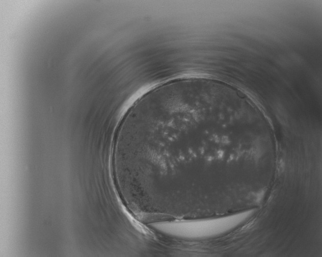 X0000077381245200610271938