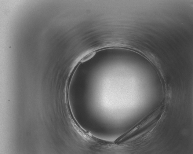 X0000077381246200610271938