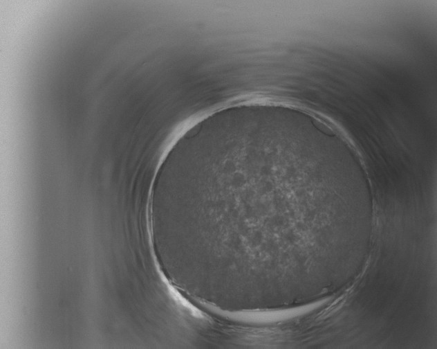 X0000077381247200610271938