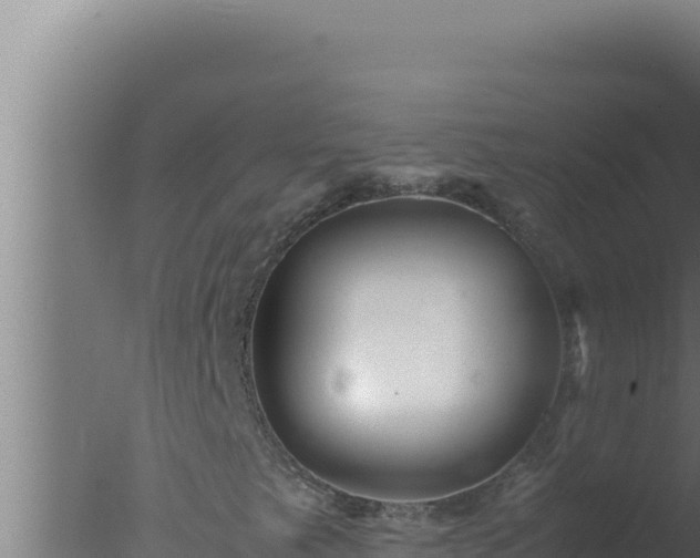 X0000077381249200610271937