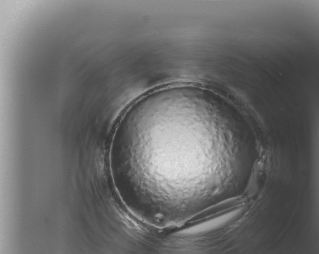 X0000077381260200610271937