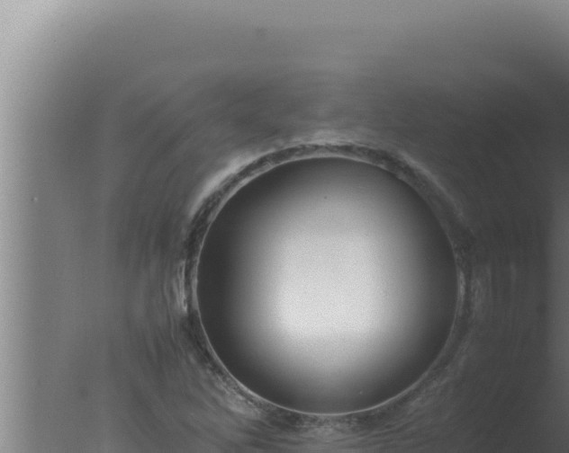 X0000077381262200610271937