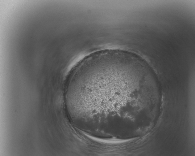 X0000077381263200610271937