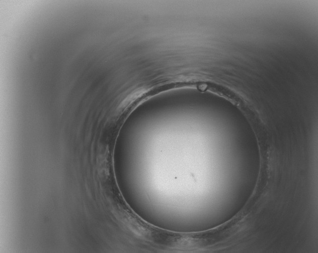 X0000077381265200610271937