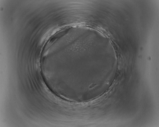 X0000077380002200611031948