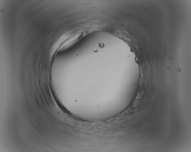 X0000077380003200611031948