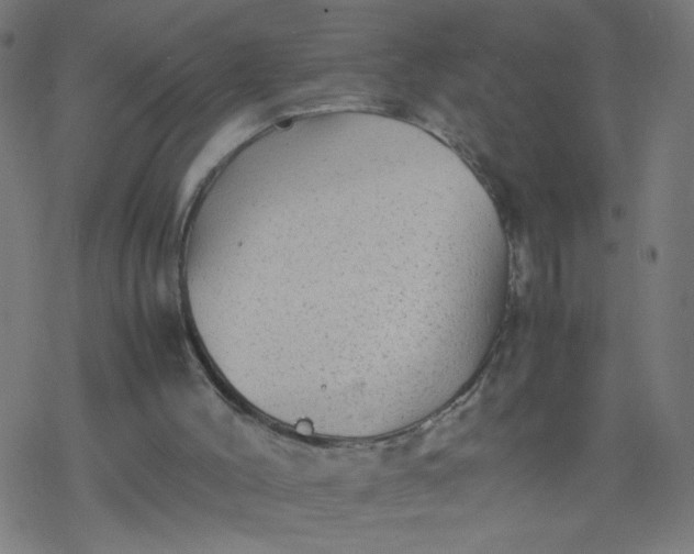 X0000077380004200611031948