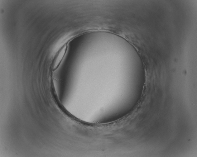 X0000077380005200611031948