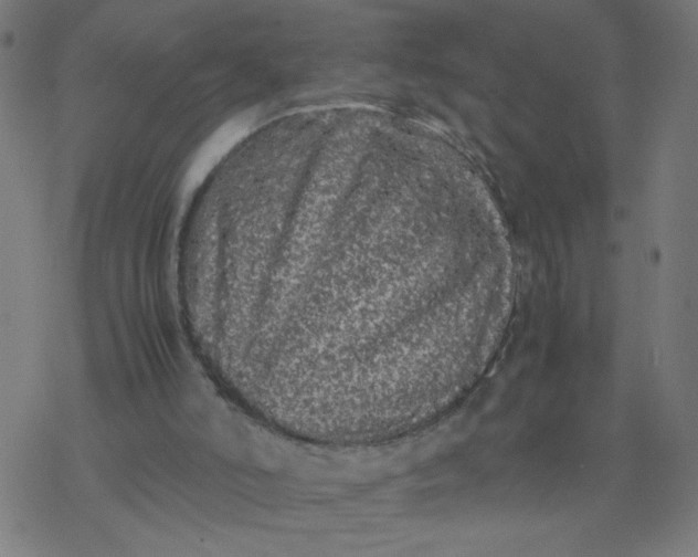 X0000077380006200611031948