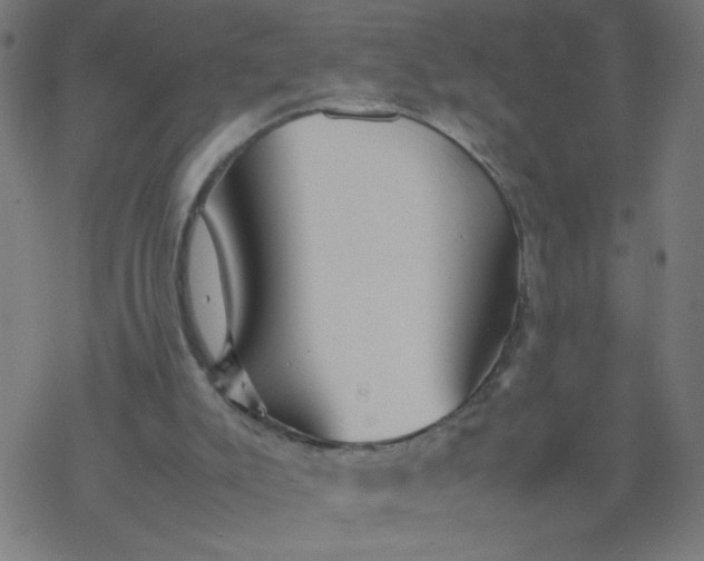 X0000077380007200611031948