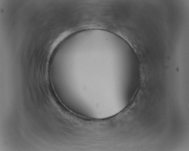 X0000077380008200611031948