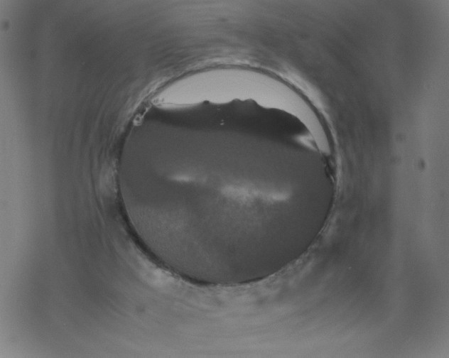 X0000077380009200611031948