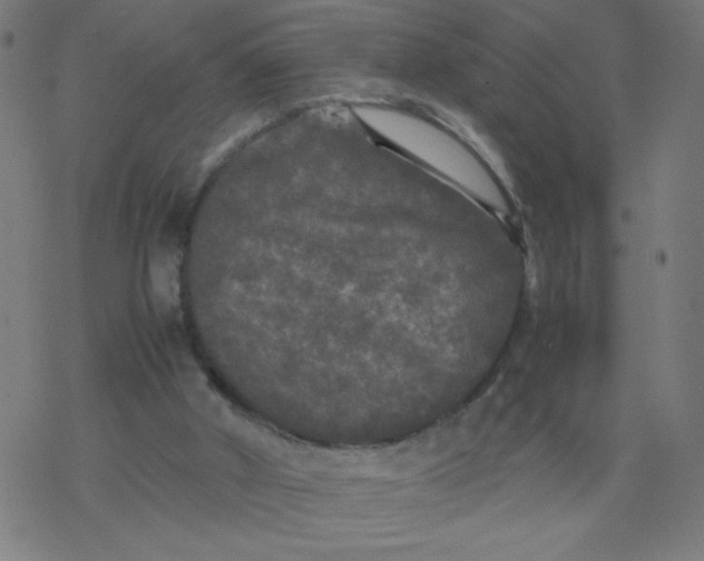 X0000077380010200611031948