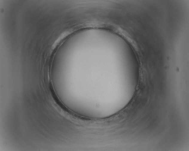 X0000077380011200611031948