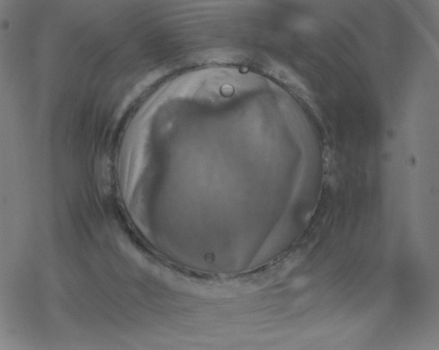 X0000077380012200611031948