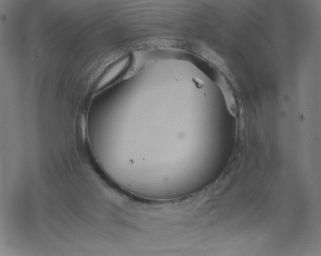 X0000077380013200611031948