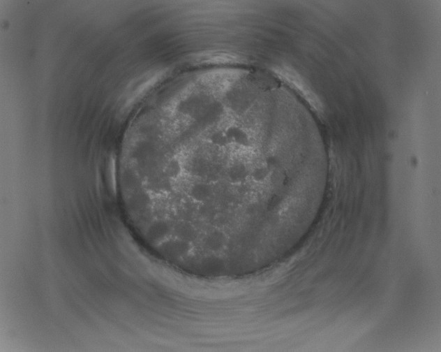 X0000077380014200611031948