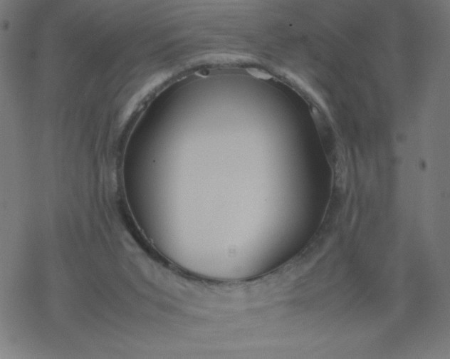 X0000077380015200611031948