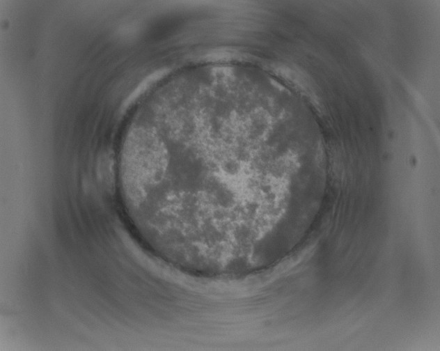 X0000077380016200611031948