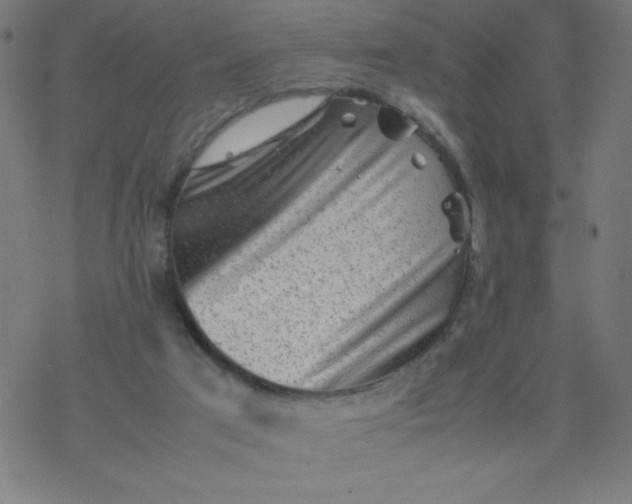 X0000077380017200611031948