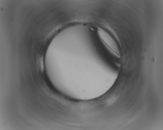 X0000077380020200611031948