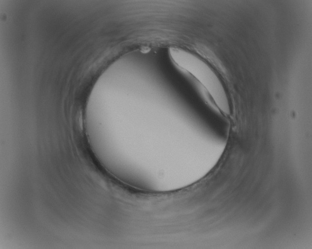 X0000077380021200611031948