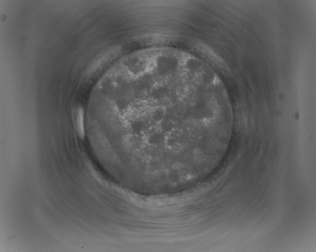 X0000077380022200611031948