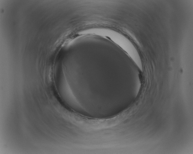 X0000077380023200611031948