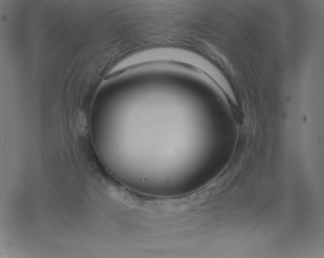 X0000077380025200611031948