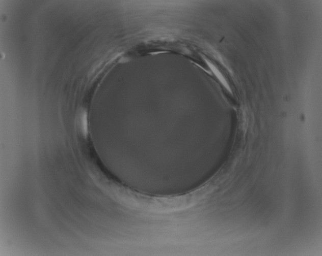 X0000077380027200611031948