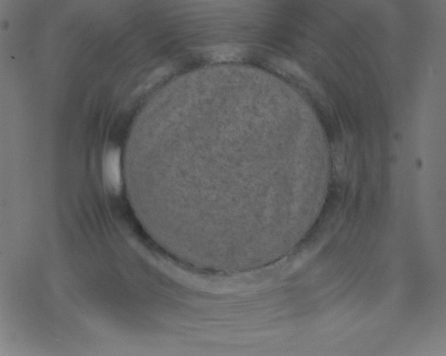 X0000077380028200611031948