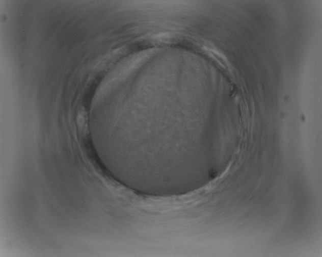 X0000077380029200611031947