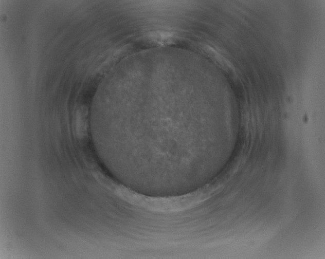 X0000077380030200611031947