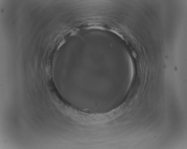 X0000077380031200611031947