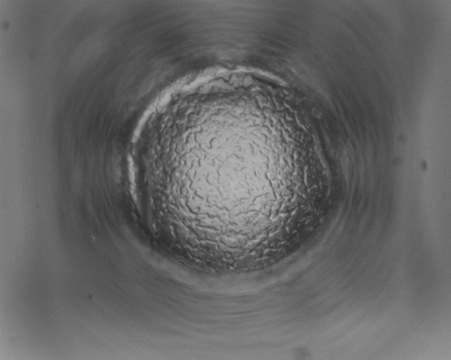 X0000077380032200611031947