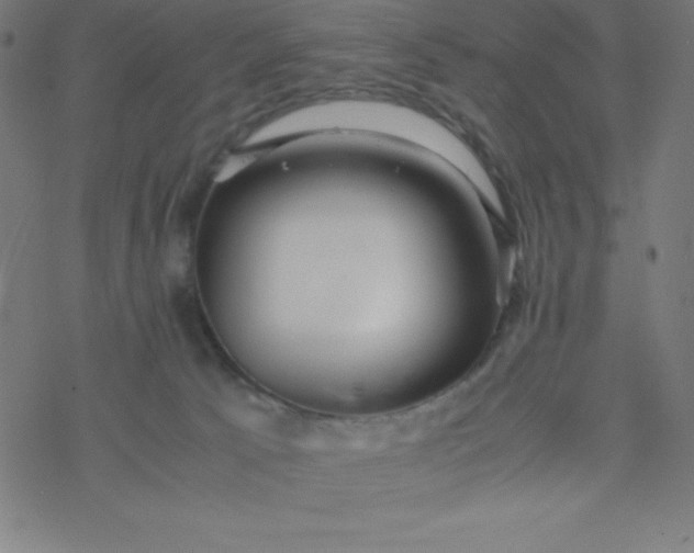 X0000077380033200611031947