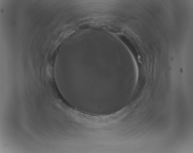 X0000077380035200611031947