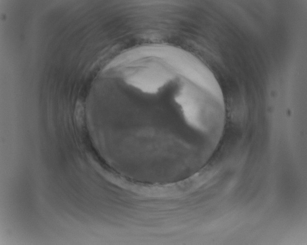 X0000077380036200611031947