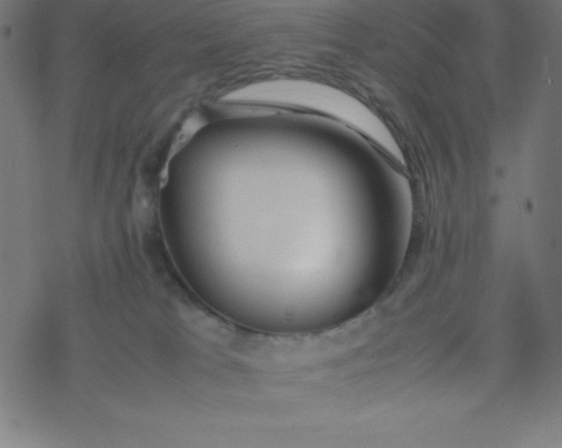 X0000077380037200611031947