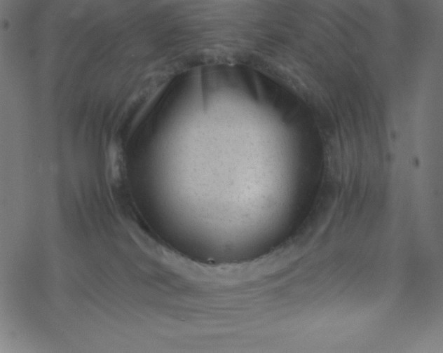 X0000077380038200611031947