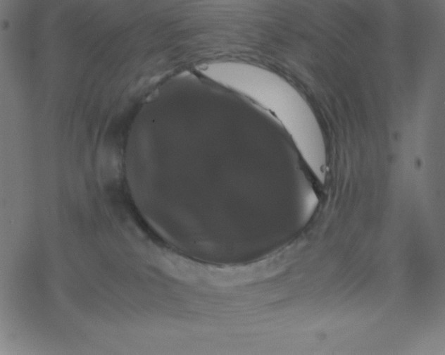 X0000077380039200611031947