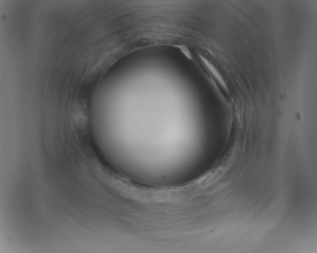 X0000077380040200611031947