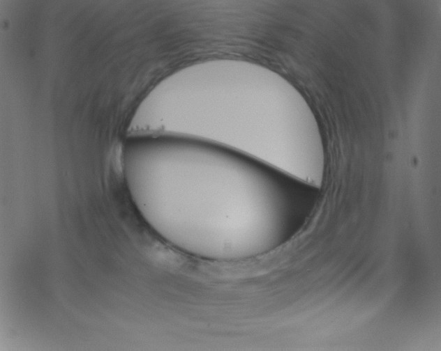 X0000077380041200611031947