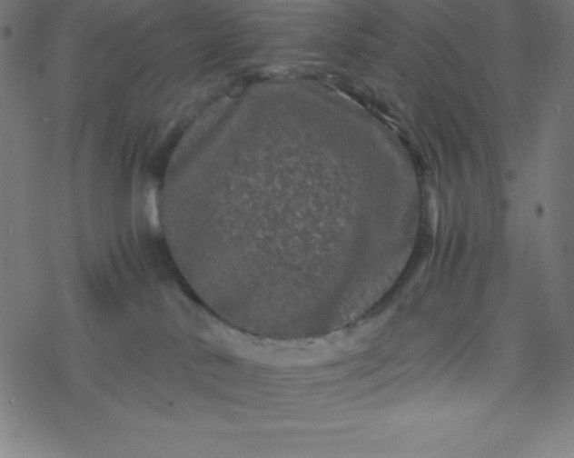 X0000077380042200611031947