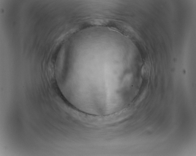 X0000077380043200611031947