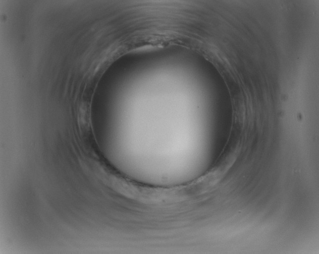 X0000077380044200611031947